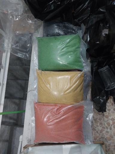 عکس آکواریوم آنجل فیش