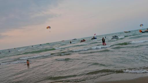 عکس پلاژ ساحلی قو