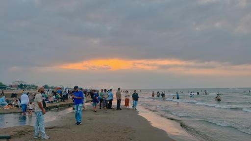 عکس پلاژ ساحلی قو