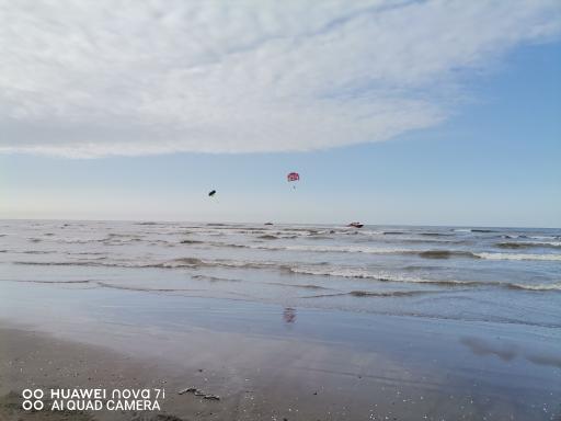 عکس پلاژ ساحلی قو