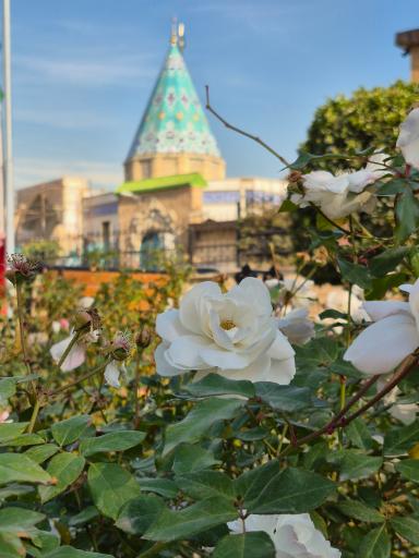 عکس آستان مقدس حضرت امامزاده یحیی (ع) و امامزاده محمد (ع)