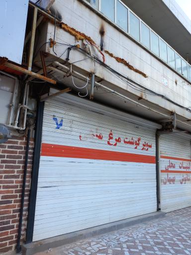 عکس ماهی فروشی تیلا