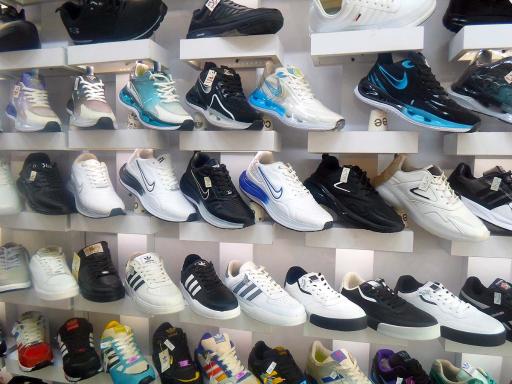 عکس کفش همسفر