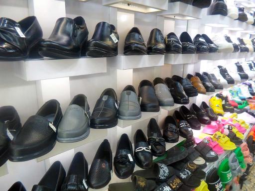 عکس کفش همسفر