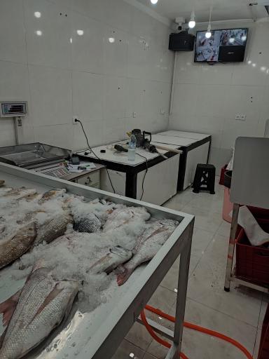 فروشگاه ماهی و میگو بهمنی