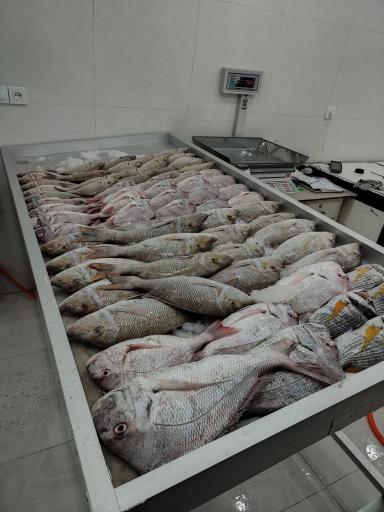 عکس فروشگاه ماهی و میگو بهمنی