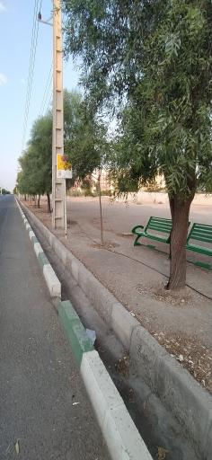 عکس مجتمع سپیدار