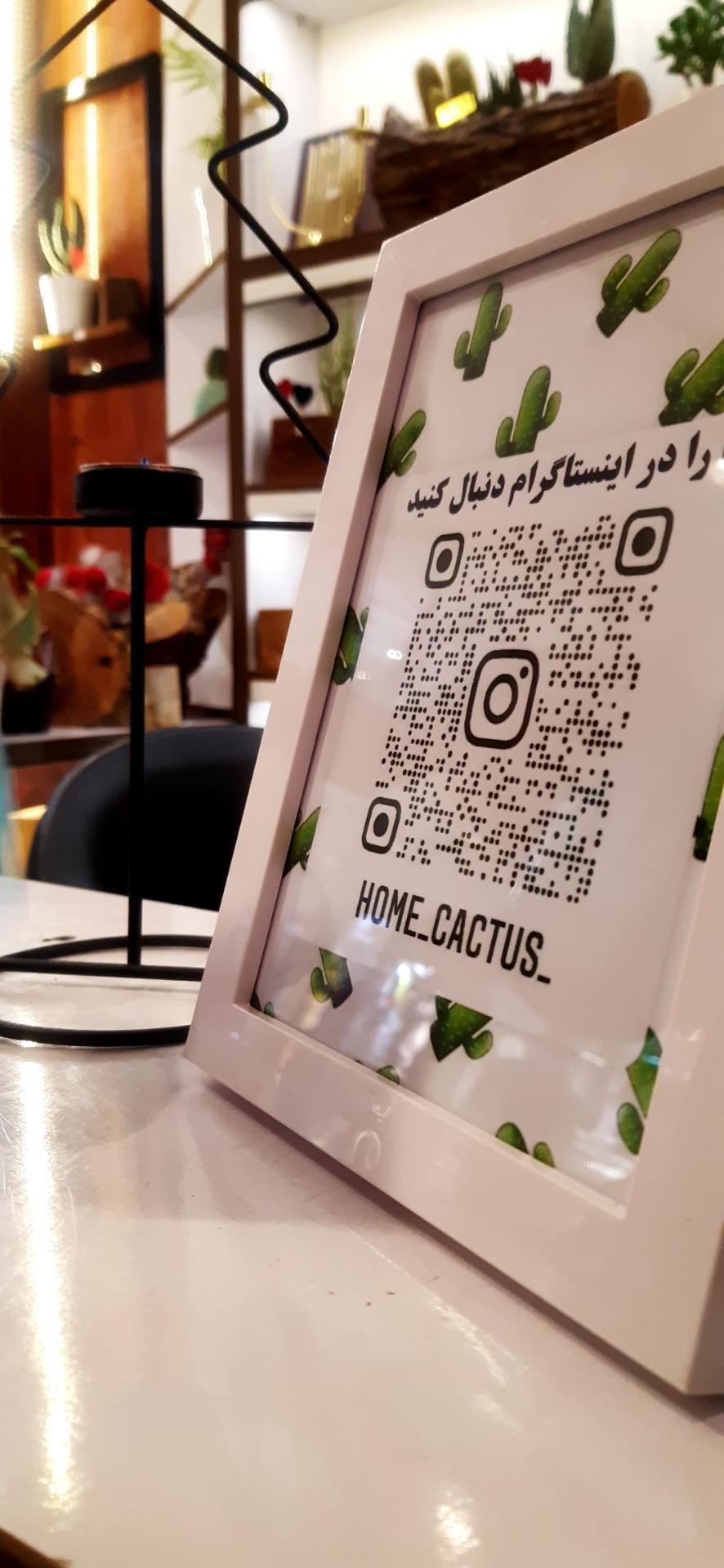 عکس فروشگاه هوم کاکتوس