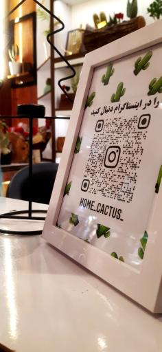 عکس فروشگاه هوم کاکتوس
