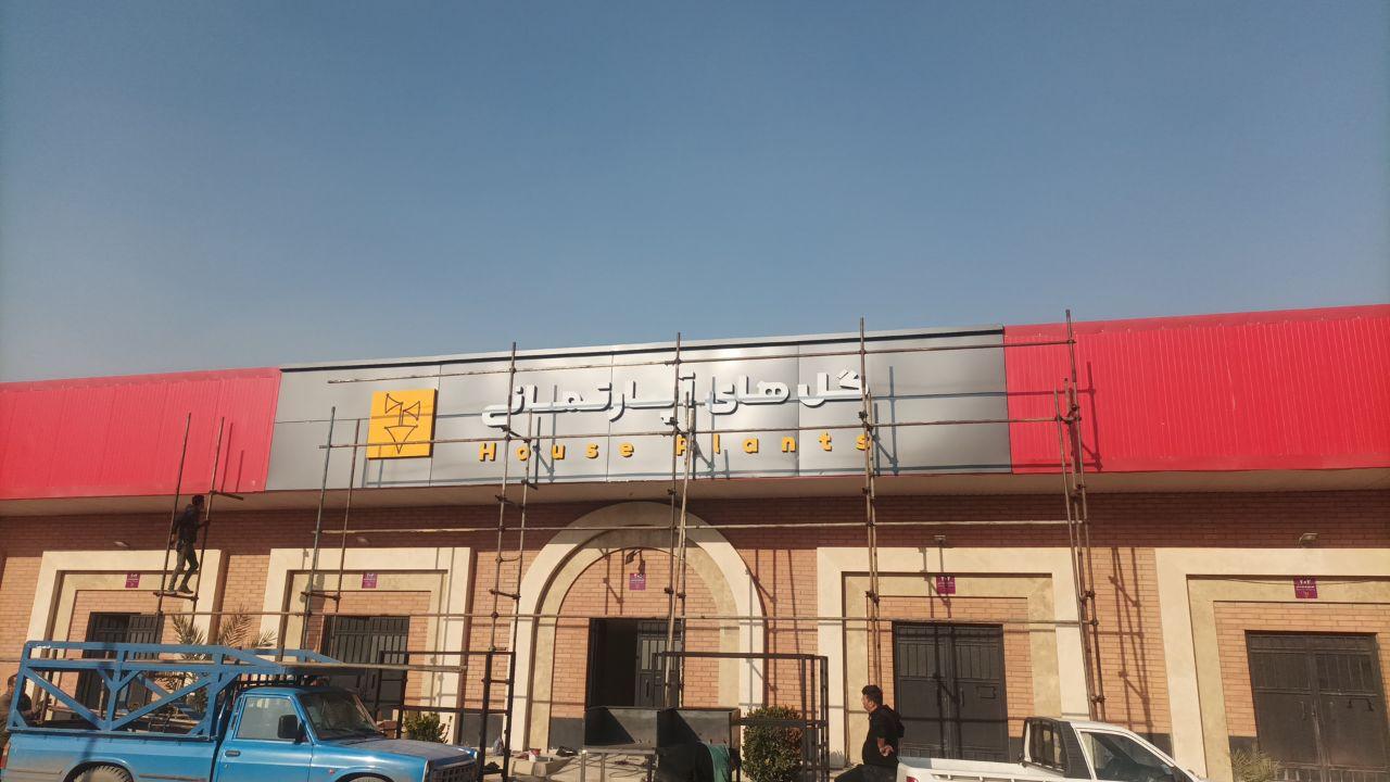 عکس گل های آپارتمانی