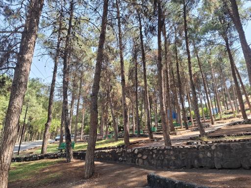 عکس پارک شریعتی