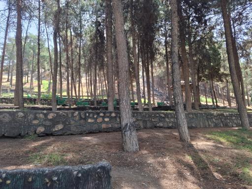 عکس پارک شریعتی