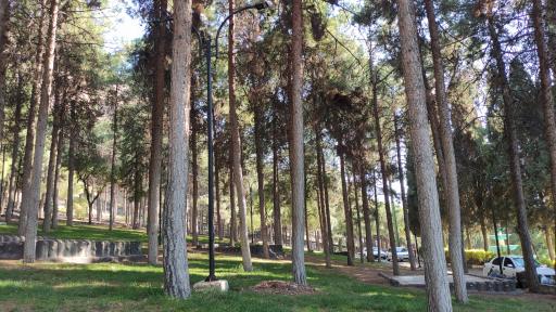 عکس پارک شریعتی