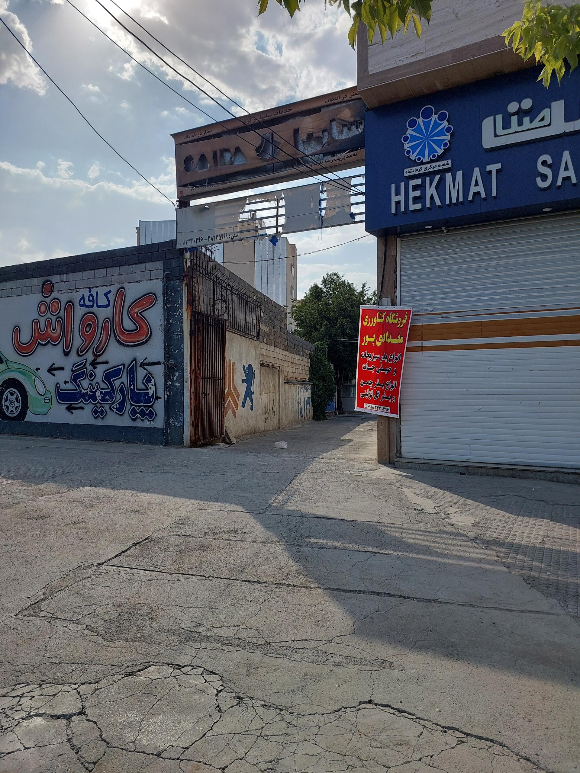 عکس جلوبندی سازی برادران سلیمی