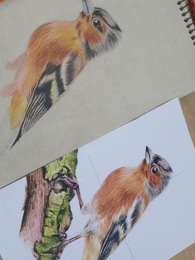 عکس آموزشگاه آزاد فنی و حرفه ای بانوی مرداد