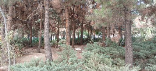 عکس بوستان کوهستان