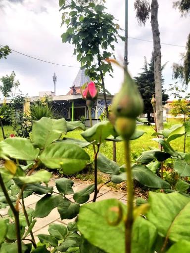 عکس بقعه ناصر الحق اطروش کبیر