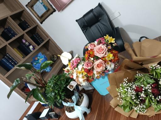 عکس دفتر وکالت نادیا حیدری