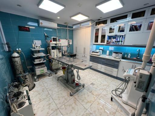 عکس دامپزشکی دامپزشکان سبز