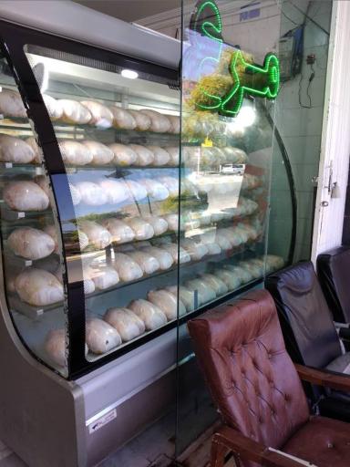 عکس مرغ و ماهی زکریایی