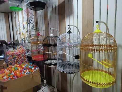 عکس تولیدی و پخش لوازم پرنده عدالتی