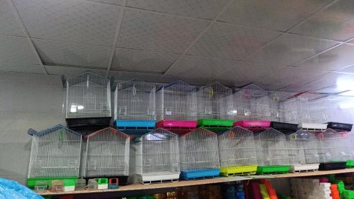 عکس تولیدی و پخش لوازم پرنده عدالتی