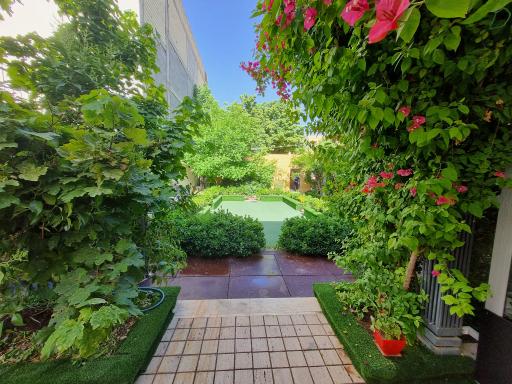 عکس پیش دبستانی نارون