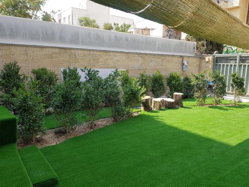 عکس پیش دبستانی نارون