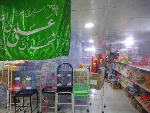 عکس تولیدی و پخش لوازم پرنده عدالتی