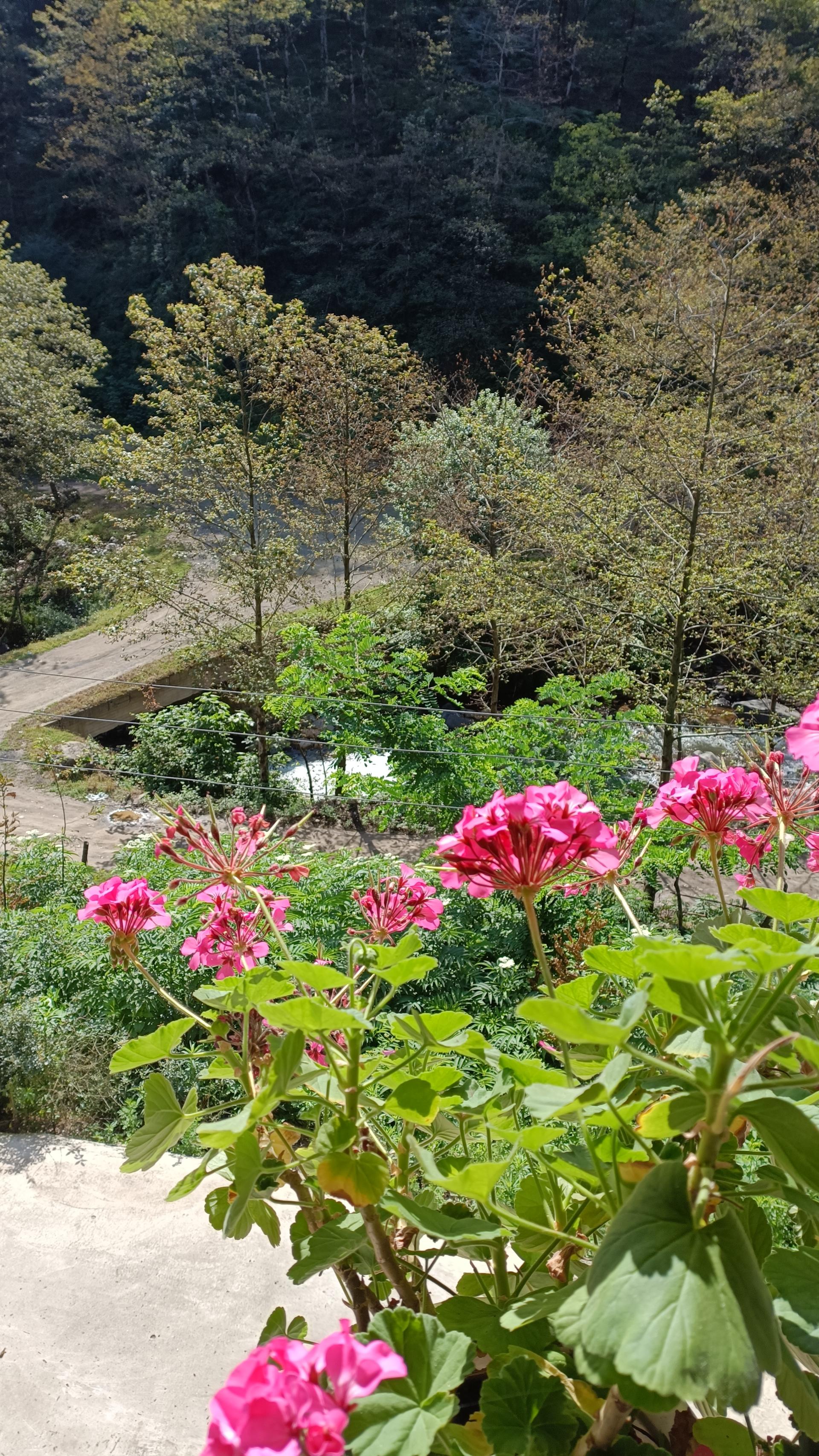 عکس گیلوند رود مسیرماسوله 