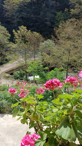 عکس گیلوند رود مسیرماسوله 