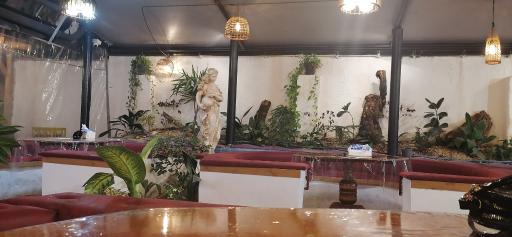 عکس قصابی و کبابی جونکا