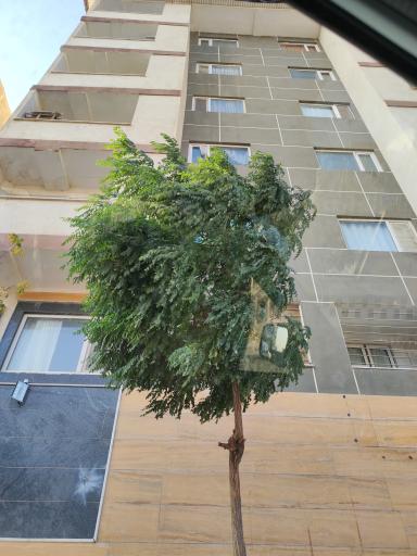 عکس مجتمع مسکونی سپیدار