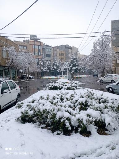 عکس فضای سبز شهید سویزی