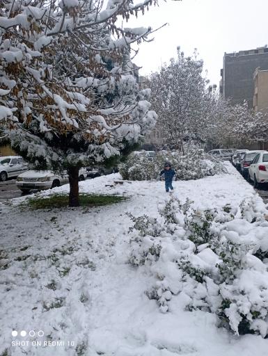 عکس فضای سبز شهید سویزی