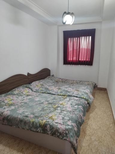 عکس متل سید