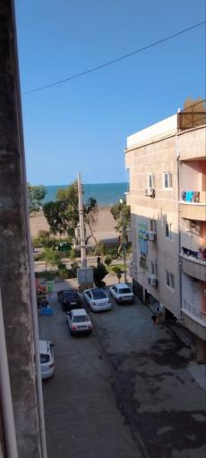 عکس متل سید