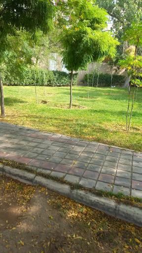 عکس بوستان شهید داوود عابدی