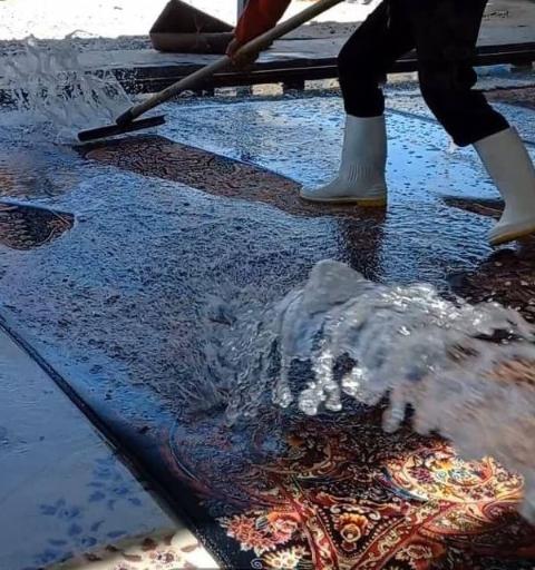 عکس قالیشویی تاج