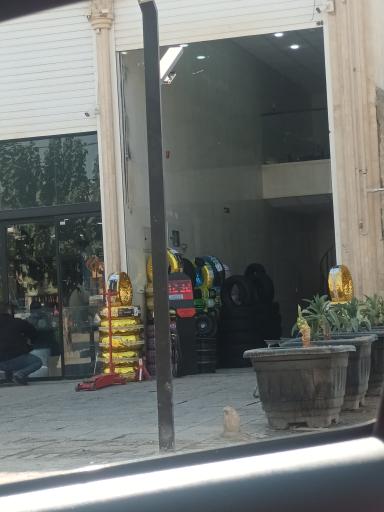 عکس لاستیک بیژن