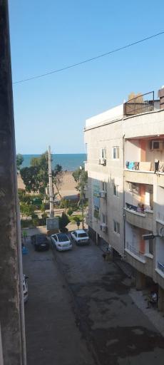 عکس متل سید