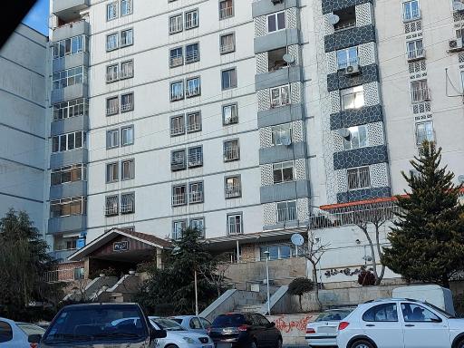 نسترن 47