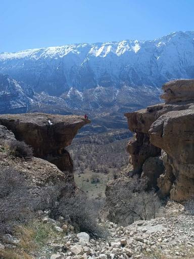 عکس گراب سفلی