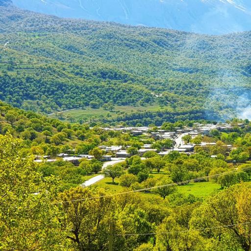 عکس گراب سفلی