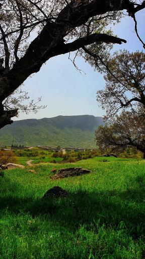 عکس گراب سفلی