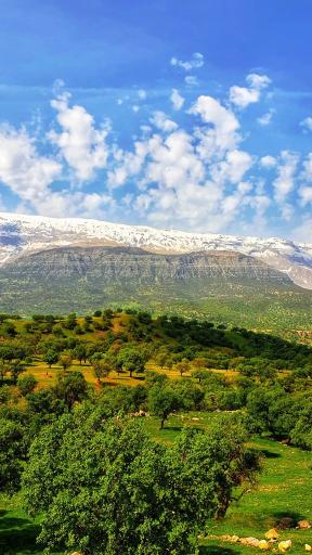 عکس گراب سفلی