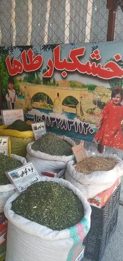 عکس خشکبار طاها