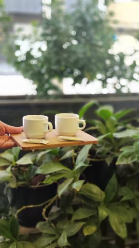 عکس کافه حافظ