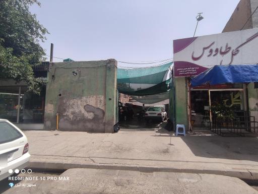 عکس کارواش رز