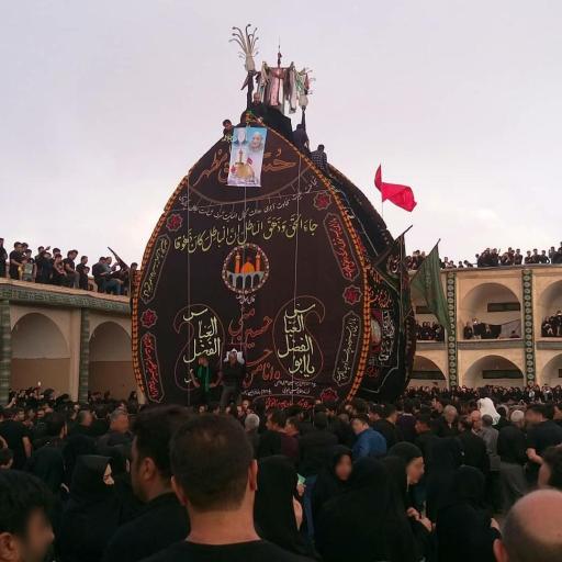 عکس نخل بزرگ سریزد